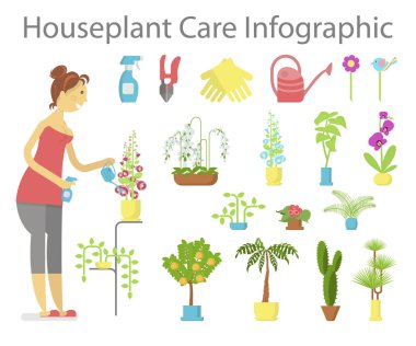 Pencere Bahçe ifographic öğeleri