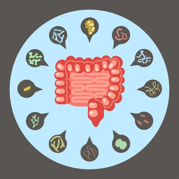 肠道细菌一套 — 图库矢量图片