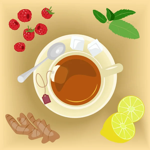 Cup of herbal tea — Stock Vector