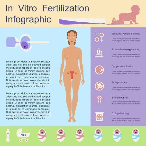 Infográfico de fertilização in vitro —  Vetores de Stock