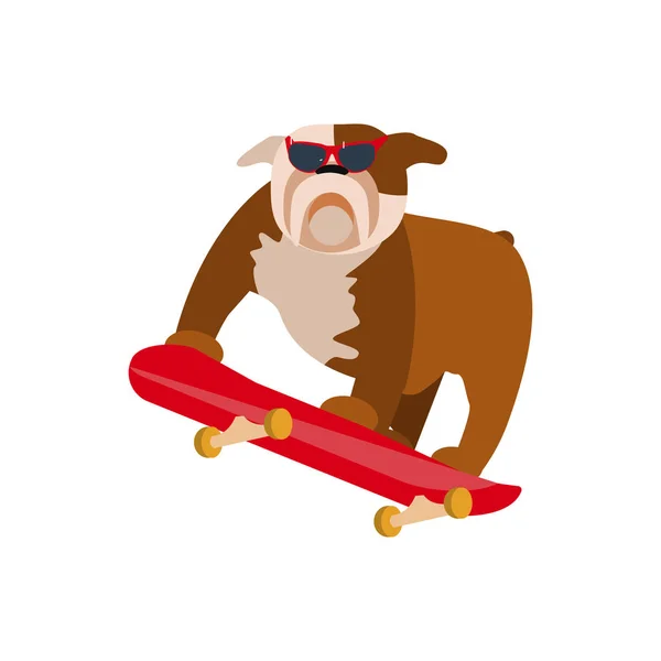 Small dog on skateboard — Stock Vector