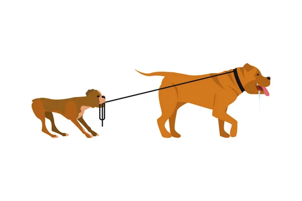 Câini mici și mari — Vector de stoc
