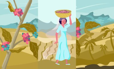 Kahve çiftçisi karakteri