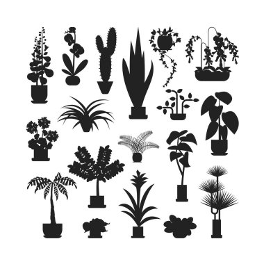 Ev bitkileri silueti