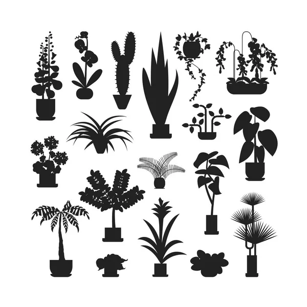 Силуэт домашних растений — стоковый вектор