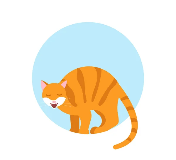 Gato arqueó su espalda y silba — Vector de stock