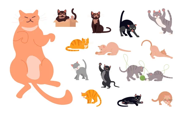 Pixel 8 bit gato siamês animais para ativos de jogo em ilustração vetorial