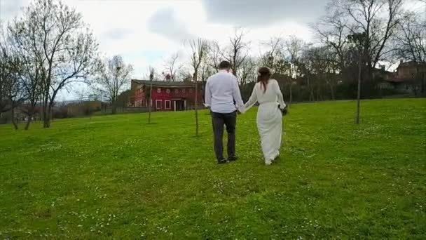 Een jong koppel in liefde gelukkig lopen door gras - hand in hand - antenne — Stockvideo