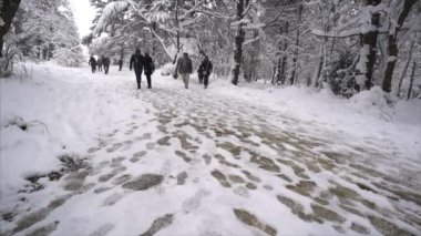 Düşen kar kış Park ile kaplı ağaçlar ve insanlar yürürken, insanlar kar - yavaş hareket