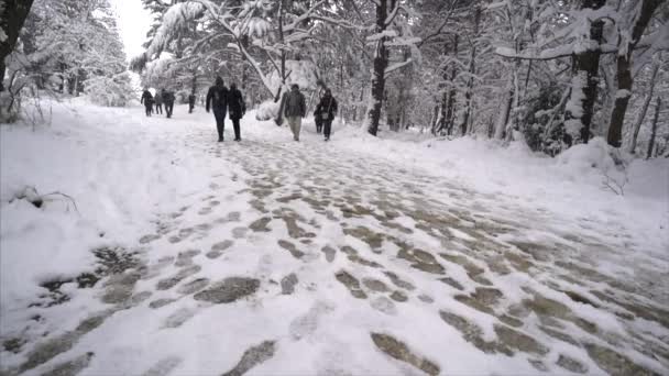 Esik a hó a téli park snow fedett fák és az emberek sétálni - lassú mozgás — Stock videók