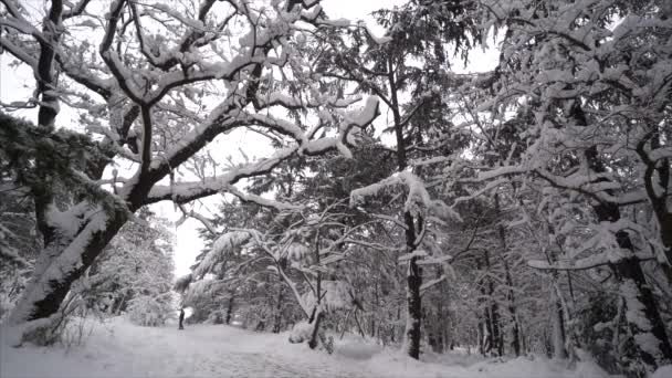 Πέφτει το χιόνι σε ένα χειμερινό πάρκο με δέντρα χιόνι που καλύπτει τους ανθρώπους με τα πόδια - αργή κίνηση — Αρχείο Βίντεο