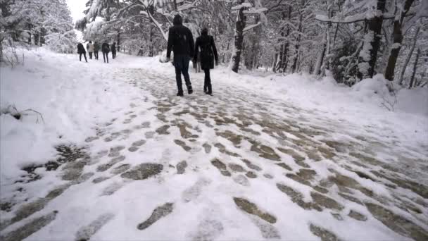 Hóesésben hóval borított fák téli parkban emberek gyaloglás - lassú mozgás — Stock videók