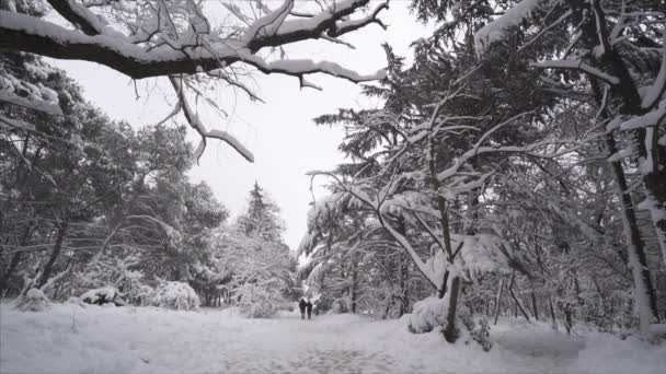 Nieve cayendo en un parque de invierno con árboles cubiertos de nieve personas caminando - Slow Motion — Vídeo de stock