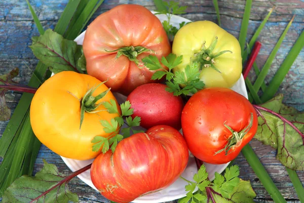 Tomates Maduros Grandes Variedades Diferentes Estão Uma Cesta Vime — Fotografia de Stock