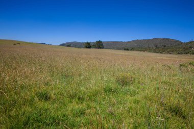 Kırsal manzara masmavi gökyüzü altında
