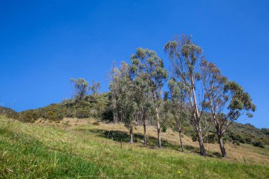 Kırsal manzara masmavi gökyüzü altında