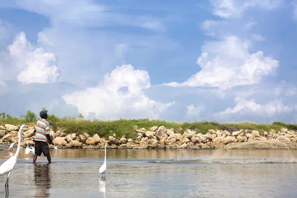 Pescador y garzas —  Fotos de Stock