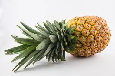 Ananas (Ananas komoz)