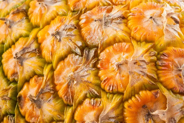 Ananas (Ananas comosus) — Stockfoto