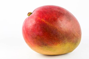 Mango (Mangifera indica)