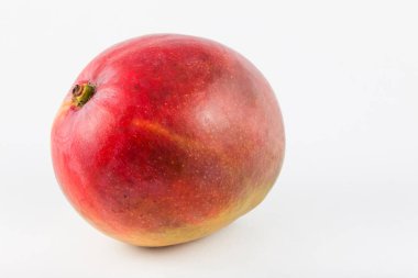 Mango (Mangifera indica)