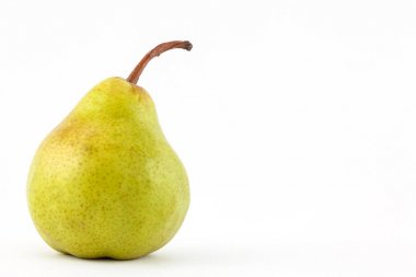 Armut (Pyrus communis)
