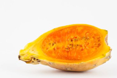 Tuna (Opuntia ficus-indica)