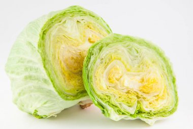 Crisphead marul (Lactuca sativa)