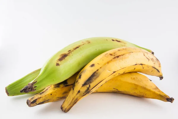 Banana verde o banana verde (Musa x paradisiaca ) — Foto Stock