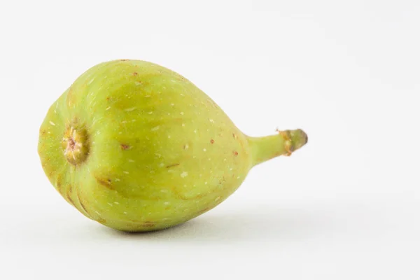 Common fig (Ficus carica) — Stock Photo, Image