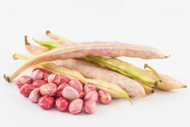 Olgunlaşmamış ortak fasulye (Phaseolus vulgaris)
