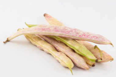 Olgunlaşmamış ortak fasulye (Phaseolus vulgaris)
