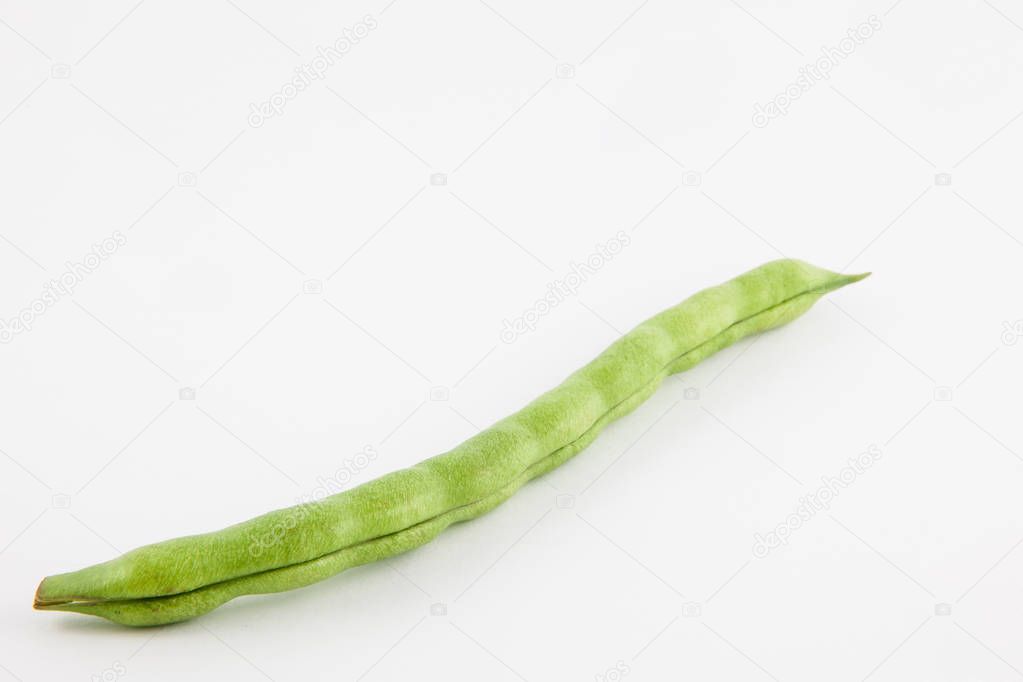 Green bean (Phaseolus vulgaris)
