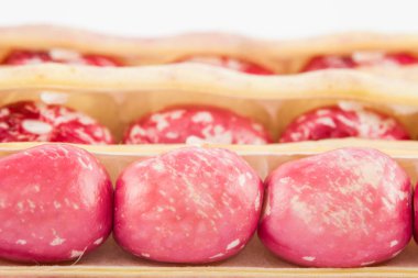 Olgunlaşmamış ortak fasulye (Phaseolus vulgaris)