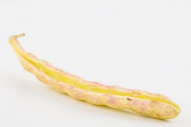Olgunlaşmamış ortak fasulye boş pod (Phaseolus vulgaris)