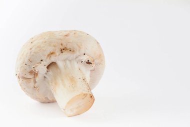 Taze hasat mantar (Agaricus bisporus)