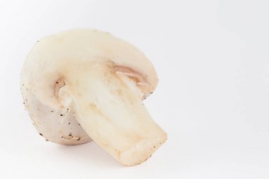 Taze hasat mantar (Agaricus bisporus)