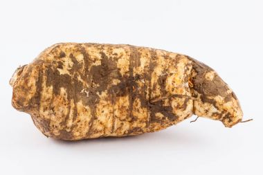 Arracacha (Arracacia xanthorrhiza)