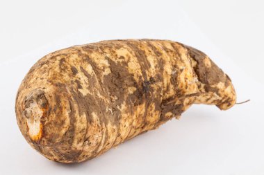 Arracacha (Arracacia xanthorrhiza)