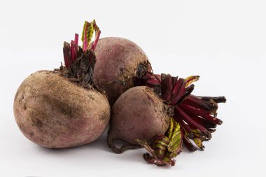 Pancar (Beta vulgaris)