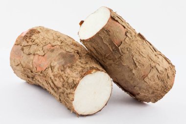 Manyok (Manihot esculenta)