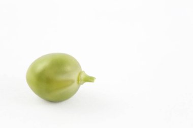 Bezelye (pisum sativum)