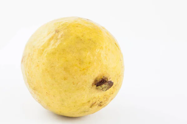 Guava (Psidium guajava) — Foto Stock