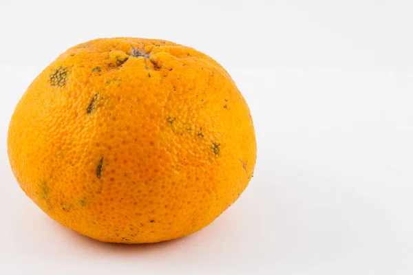 Mandarină (Citrus reticulata ) — Fotografie, imagine de stoc