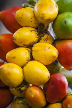 Chontaduro (Bactris gasipaes) 