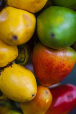 Chontaduro (Bactris gasipaes) 