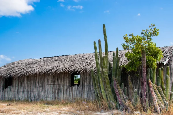 Casas tradicionais de madeira de guadua em La Guajira, Colômbia — Fotografia de Stock