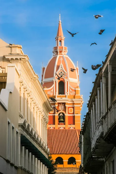 Katedra Metropolitalna w Cartagena de Indias — Zdjęcie stockowe