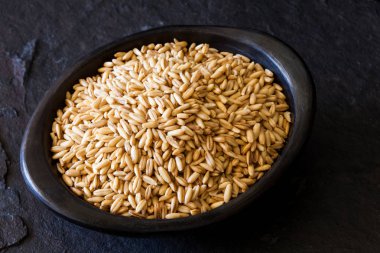 Yulaf (Avena sativa) tahıl geleneksel siyah kil çanağı