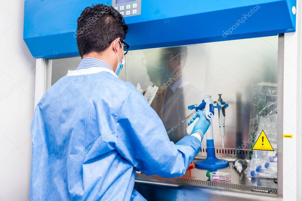 Young scientist working in a safety laminar air flow cabinet